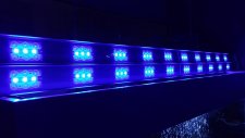 Atlas Akvaryum Led Aydınlatma Tasarımları