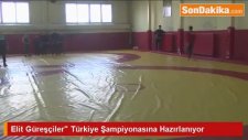 Elit Güreşçiler