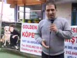 köpeğimi çaldılar hemde sürükleye sürükleye