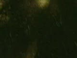 where the wild things are fragman