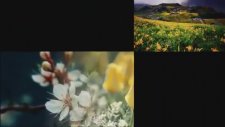 XALO NEZIR û GüLCAN ESMER - DILO YEMAN