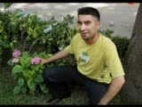 Kara Çadır Düzdedir Aman Aman Eminem