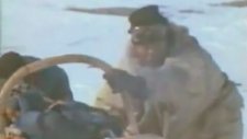 Vangelis - Antarctica