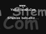 Sansar ~~ Duygusuz İfadeler..