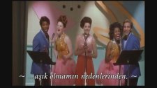 Mulholland Drive - Sixteen Reasons