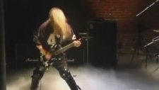 Slayer - Cult (The Henry Rollins Show)
