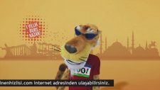 Cheetos Türkiye'nin En Hızlısı