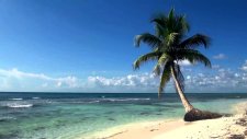 Edward Maya - Runaway