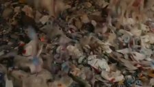 Atık Plastikten Jean Yapmak - Levi's Reklamı