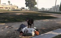 GTA V Serbest Mod - Köpek Olmak - Bölüm 10