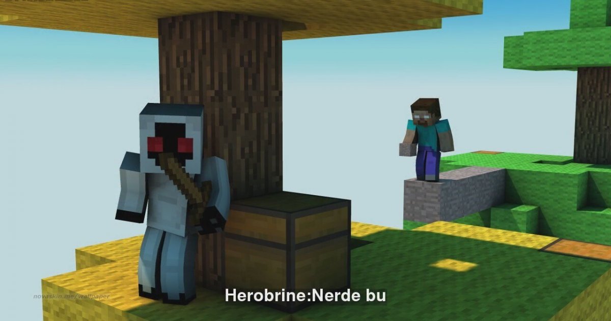 Minecraft 303. VS Herobrine  Minecraft Animation ''Türkçe 