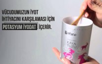 Efsina'da Ne Var Ne Yok? - İyotlu İnce Kaya Tuzu