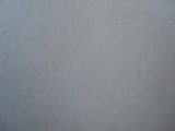 www.seckinototorpido.com