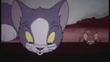 Tom ve Jerry (İlk Bölüm)