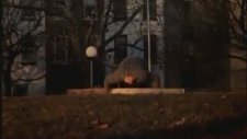 Rocky2 - Efsane İdman