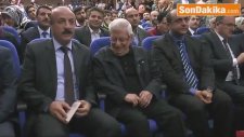 Yedi Güzel Adam
