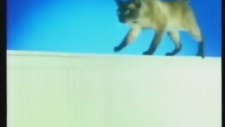 Demirdöküm Radyatör Reklamı