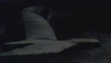 İnsana Kanat Takmak - Ornithopter Test Uçuşu