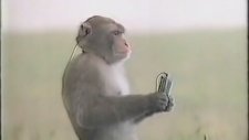 Sony Walkman Reklamı (1988)
