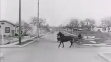 Görüntülenmiş İlk Trafik Kazası