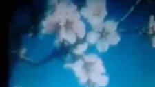 Yayın Anonsu (1990)