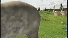 Beyin Yakan Müziği ile Nuh'un Gemisine Giden Hayvanlar (Teletabiler)