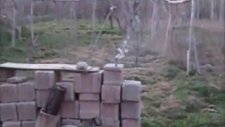 Torpil Her Yaşta Güzeldir