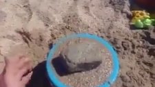 Dolgu Alanların Deprem Testi