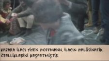 Kazara Gerçekleşen 10 Keşif