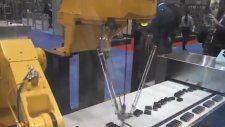 Pil Dizen ve Toplayan Harika Robotlar
