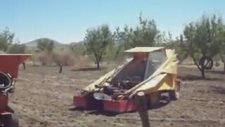 Yeni Nesil Zeytin Toplama Makinası