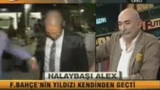 Halaybaşı Alex