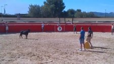 Mehmet Topal vs Boğa (Geri Vites İçerir)