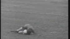 Köpeklerin Sahalarda Gezdiği Zamanlar - Colchester & Brentford