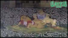 En Uçuk Koreografi - Panathinaikos Taraftarı