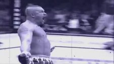MMA Maçlarındaki Hayvani Nakavtlar