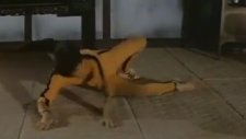 Bruce Lee vs Kareem Abdul Jabbar