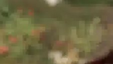 Hülya Koçyiğit Tarzı Tecavüze Uğramak