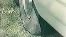Kadınları Karada Denizde ve Yatakta Korumak