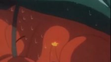Pokemon Sezon 1 Bölüm 11