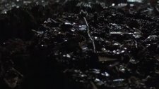 The Crow - Trailer