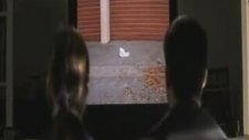American Beauty - Poşet Sahnesi