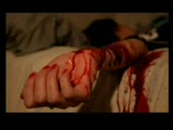 Adem Kilic - Tellİ Turnam Adem Kilic - Tellİ Turnam
