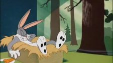 Bugs Bunny (Türk Hamamı'nın Olduğu Bölüm)