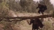 Maskeli Kahraman Zorro Film Fragmanı (1998)