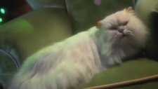 Grinch Film Fragmanı (2000)