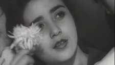 Shahzoda - Bahor