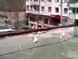 asİl... gök erkek