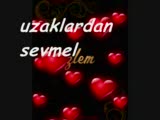 Vereceksen Ver Elini...