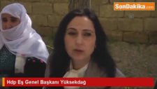 Hdp Eş Genel Başkanı Yüksekdağ
